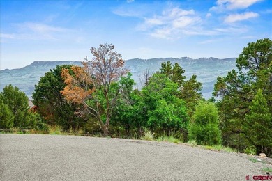 Mistalyn Kuzov, United Country Sneffels Realty, C:,,: Located - photo 4