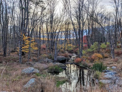 Step back in time with this original 1945 Smallwood log cabin - photo 4