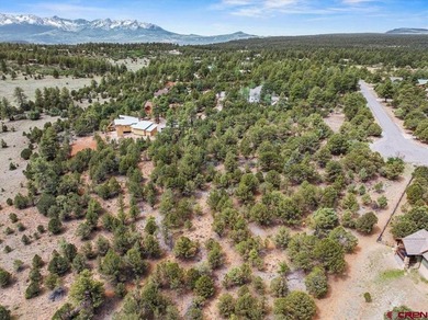 Mistalyn Kuzov, United Country Sneffels Realty, C:,,: Located - photo 5