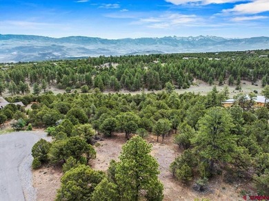 Mistalyn Kuzov, United Country Sneffels Realty, C:,,: Located - photo 8
