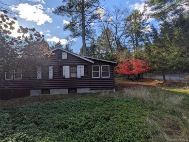 Step back in time with this original 1945 Smallwood log cabin - photo 8