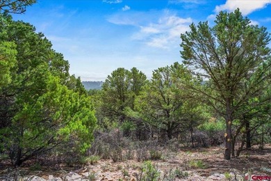 Mistalyn Kuzov, United Country Sneffels Realty, C:,,: Located - photo 9