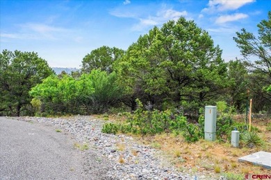 Mistalyn Kuzov, United Country Sneffels Realty, C:,,: Located - photo 10