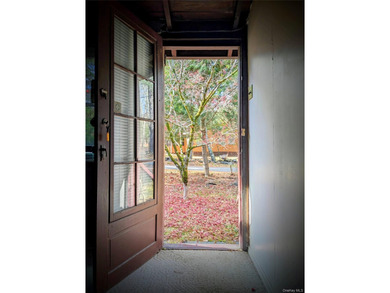 Step back in time with this original 1945 Smallwood log cabin - photo 10