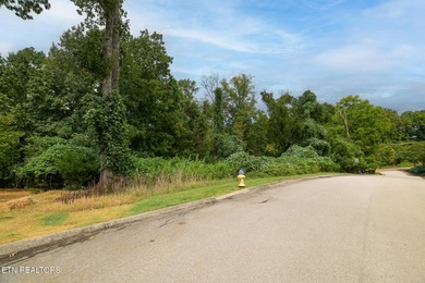 One of the Final Opportunities in The Quarry at Keller Bend! - photo 3