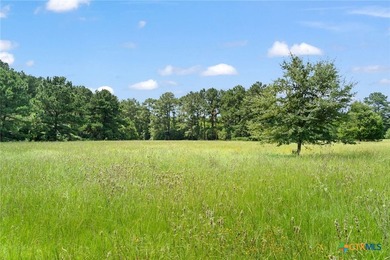 Step into a world of untouched beauty and boundless potential - photo 18