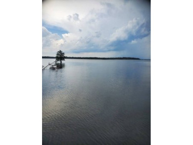 Lake Lot For Sale in Many, Louisiana