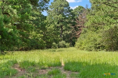 Step into a world of untouched beauty and boundless potential - photo 23