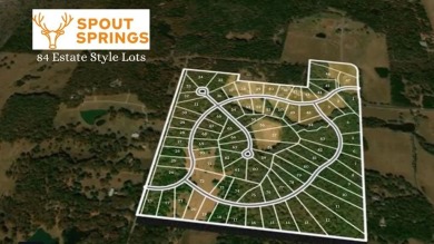 Lake Lot For Sale in Pottsboro, Texas