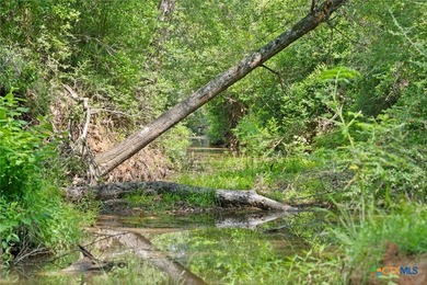 Step into a world of untouched beauty and boundless potential - photo 36