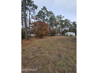 A beautiful, well maintained home in (Southport) BSL area. This