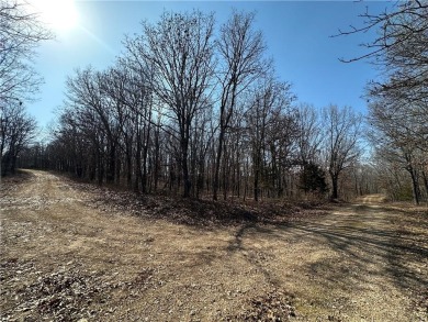 Lake of the Ozarks Acreage For Sale in Edwards Missouri
