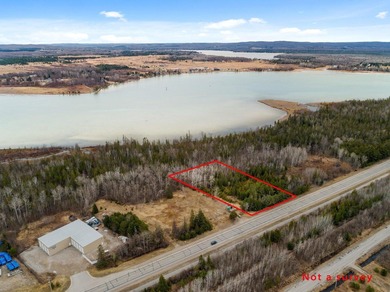 Crooked Lake - Emmet County Lot For Sale in Alanson Michigan