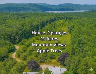 (private lake, pond, coastal) Home For Sale in Waterford Maine