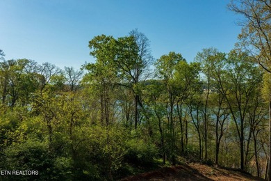 Dockable Lakefront Lot with no restrictions. Lovely location on - photo 1