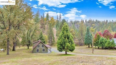 Your Dream Yosemite Mountain Getaway in Groveland, CA! Escape to - photo 5