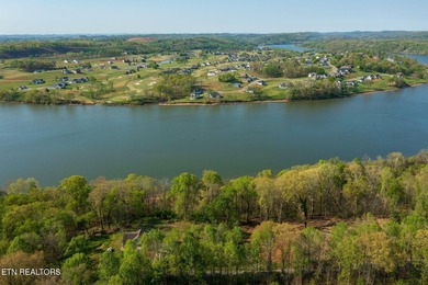 Dockable Lakefront Lot with no restrictions. Lovely location on - photo 6