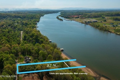 Dockable Lakefront Lot with no restrictions. Lovely location on - photo 7