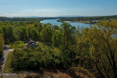 Dockable Lakefront Lot with no restrictions. Lovely location on - photo 8
