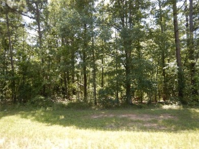 Lake Lot For Sale in Greensboro, Georgia