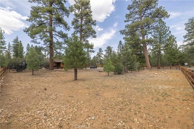 1635 Shenandoah Way - photo 40