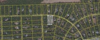 Indian Mountain Lakes Lot For Sale in Albrightsville Pennsylvania