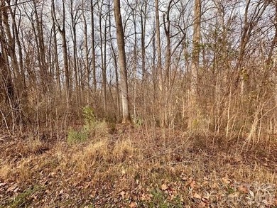 Lake Wylie Lot For Sale in Charlotte North Carolina