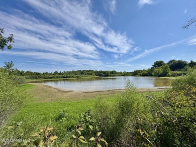 (private lake, pond, coastal) Acreage For Sale in Charleston Mississippi