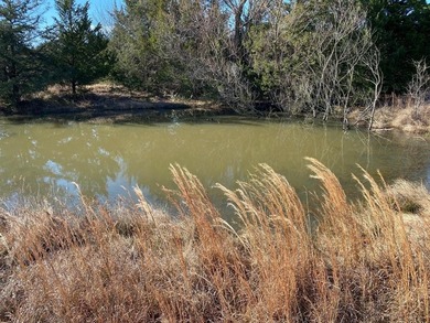 (private lake, pond, creek) Acreage For Sale in Whitesboro Texas