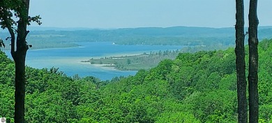 Lake Condo For Sale in Bellaire, Michigan