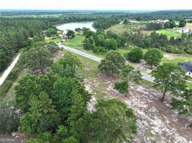 (private lake, pond, coastal) Lot For Sale in Jesup Georgia