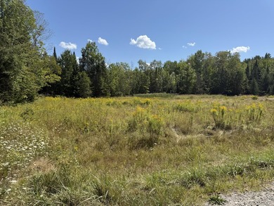 Price Improvement!! 3.37 acres of land being sold as is. Septic - photo 3