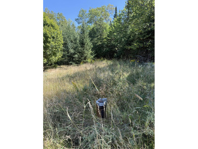 Price Improvement!! 3.37 acres of land being sold as is. Septic - photo 6