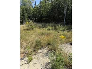 Price Improvement!! 3.37 acres of land being sold as is. Septic - photo 8