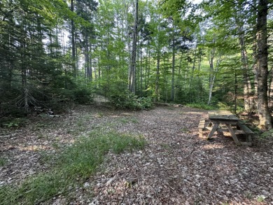 Lake Acreage For Sale in Sandy River Plt, Maine