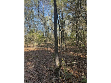 (private lake, pond, creek) Acreage For Sale in Spiro Oklahoma