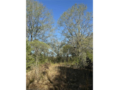 This 6.67-acre parcel is located 8 minutes from Spiro and 22 - photo 3
