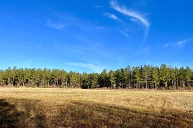 Lake Acreage Off Market in Liberty, Mississippi