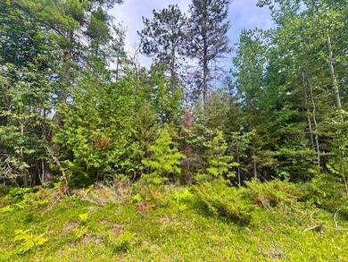 Lake Huron - Presque Isle County Lot For Sale in Presque Isle Michigan