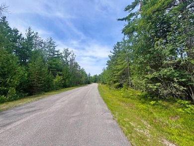 Private wooded Triple lot with another lot across the street and - photo 3