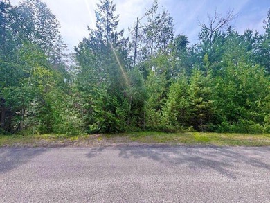 Private wooded Triple lot with another lot across the street and - photo 4