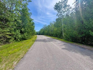 Private wooded Triple lot with another lot across the street and - photo 5