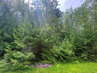 Private wooded Triple lot with another lot across the street and - photo 6