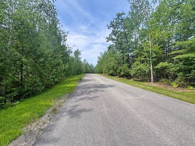 Private wooded Triple lot with another lot across the street and - photo 7