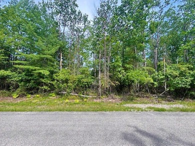 Private wooded Triple lot with another lot across the street and - photo 8