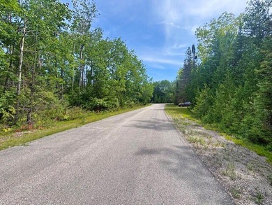 Private wooded Triple lot with another lot across the street and - photo 9
