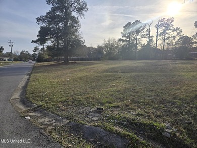 Location, location, location! Hard .6026 acre corner of Dedeaux - photo 4