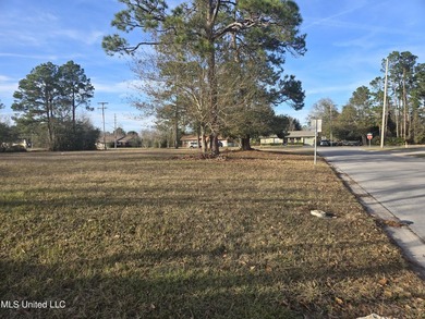 Location, location, location! Hard .6026 acre corner of Dedeaux - photo 5