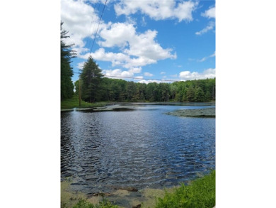 Lake Acreage For Sale in Pittsfield, New York
