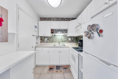 Gorgeous and Spacious 1 Bedroom/1 Bathroom Condo. This - photo 12